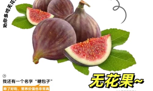 冷水丹的七大功效-【冷水丹的药用功效与作用是什么】冷水丹草药服用方法 - 冷水丹的药用功效与作用网