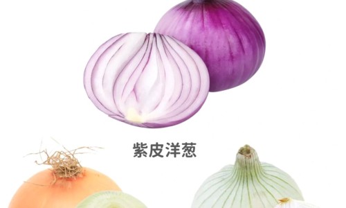 【冷水丹的药用功效与作用是什么】冷水丹草药服用方法 - 冷水丹的药用功效与作用网