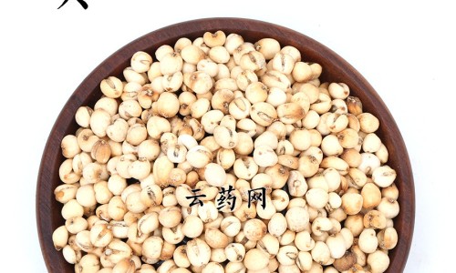 冷水丹的七大功效-【冷水丹的药用功效与作用是什么】冷水丹草药服用方法 - 冷水丹的药用功效与作用网